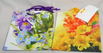Productafbeelding van Decoratieve zakken, 17,8 x 10,2 x 22,8 cm (12 stuks) - Schema