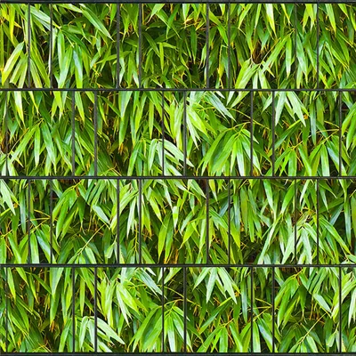 Produktbild von Bedruckter Sichtschutz BAMBUS Zaun Sichtschutzstreifen 2,5m x 2,0m