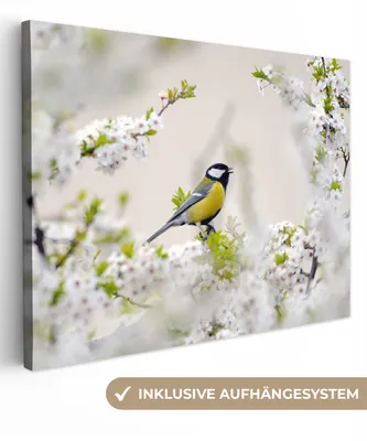 Zdjęcie produktu dla MuchoWow® - Obraz na płótnie - Ptak - Sikora bogatka - Kwiaty - Kwitnące drzewo, fototapeta ścienna, dekoracja ścienna do salonu, 120x90cm
