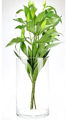 Image de Vase en verre élégante pour fleurs, 36 cm