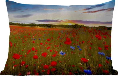 Produktbild von MuchoWow® Outdoor Kissen - Blumen - Sonnenuntergang - Farben - 50x30 cm - Wetterfest - Lounge Kissen - Sofa kissen - Wohnzimmer Dekoration