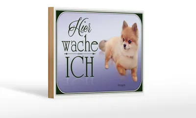 Produktbild von Holzschild Hund 18x12cm Zwergspitz hier wache ich