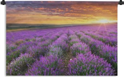 Produktbild von MuchoWow® Wandteppich Wandbehang Lavendel - Wolken - Frühling 90x60 cm Tapisserie Dekoration Wandtuch - Wandskulpturen - Bildteppich
