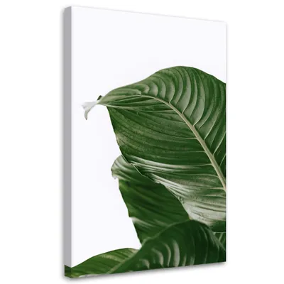 Produktbild von Leinwandbild Grüne Blatt-Botanik 80x120 Feeby Grün bild für die wand bereit zum aufhängen