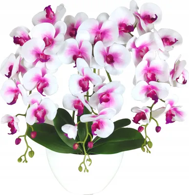 Produktbild von Künstliche Orchidee – 3-triebig, SILIKON, weiß-rosa, realistische Kunstpflanze im Topf, ca. 50–54 cm