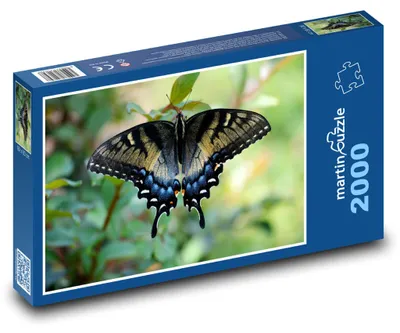 Obrázok produktu pre martinpuzzle - Puzzle 2000 - Malá Puzzle - motýl