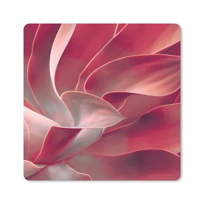 Produktbild von MuchoWow® Mauspad Mousepad Stilleben - Blätter - Pflanze - Rosa 20x20 cm - Mousepads - Maus Mat - Pad - Mausunterlage - Desk Mat - Bureauartikeln