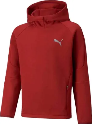 Produktbild von Hoodie Puma 589195_22 für Jungen