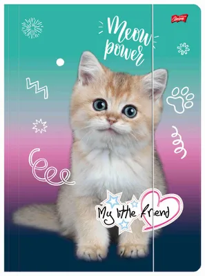 Imagen del producto de Carpeta escolar A4 con goma elástica para niños, diseño "CAT My Little Friend Kitty"