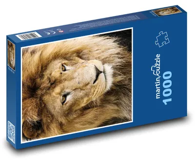 Produktbild von Puzzle 1000 Löwe - König der Tiere - martinpuzzle