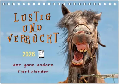 Produktbild von Lustig und verrückt - der ganz andere Tierkalender (Tischkalender 2026 DIN A5 quer), CALVENDO Monatskalender
