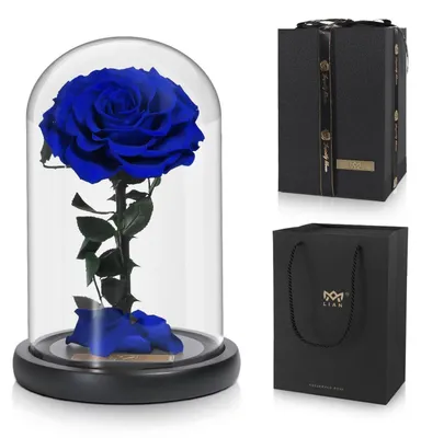 Produktbild von Konservierte Rose in Glaskuppel Blau Geschenk für Frau
