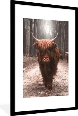 Produktbild von MuchoWow® MuchoWow® Gerahmtes Poster Schottisches Hochlandrind - Tier - Nahaufnahme 60x90 cm - Poster mit zchwarzem Bilderrahmen - Dekoration - Wandposter Wohnzimmer - Hochwertig