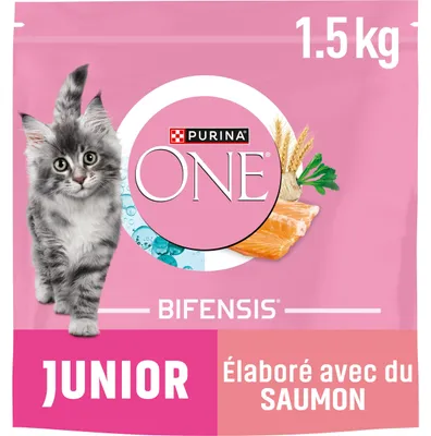 Productafbeelding van PURINA ONE | BIFENSIS | Geschikt voor kittens tot 12 maanden en voor katten tijdens de dracht