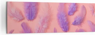 Produktbild von Bild auf Leinwand - Leinwandbild - Vogel Feder Farbe Komposition - 160x50cm - Wand Bild - Wanddeko - Leinwanddruck - Bilder - Kunstdruck - Wanddekoration - Leinwand bilder - Wandkunst - AB160x50-2922
