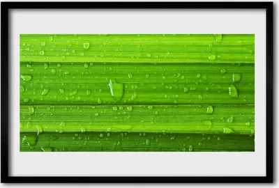 Produktbild von Bild 60x40 MDF-Rahmen Wandkunst Gras Natur Pflanze