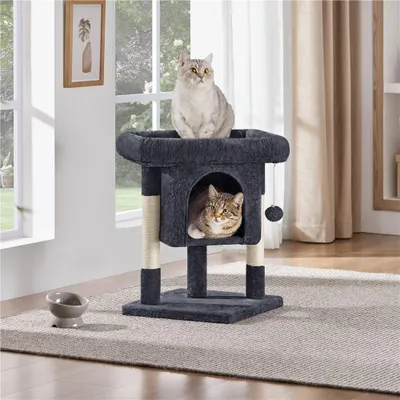Two cats are on a cat tree in a room with a window and curtains.