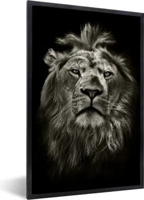 Produktbild von MuchoWow® Gerahmtes Poster Löwe - Tiere - Porträt - Wildtiere - Schwarz und weiß 60x90 cm - Poster mit Schwarzem Bilderrahmen Wandposter Rahmen Foto Bilder - Kunst
