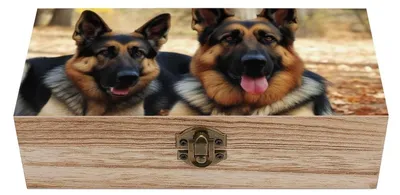 Image de Boîte de rangement en bois avec couvercle à charnières