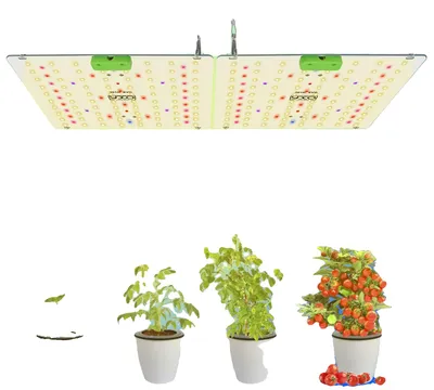 Immagine prodotto di Lampada di crescita a LED, spettro completo, dimmerabile, 180W