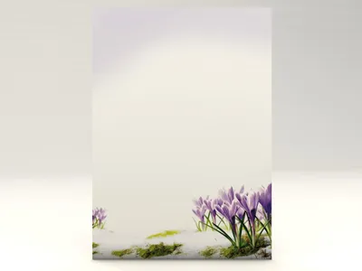 Productafbeelding van Motivpapier 'Krokussen' - 20 vellen A4 100 g/m²