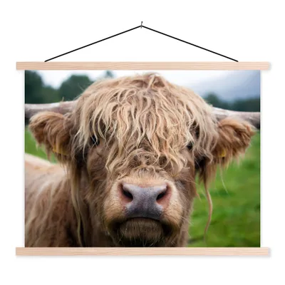 Produktbild von MuchoWow® Textilposter Schottische Highlander - Gras - Wald 40x30 cm mit holzfarbenen Rahmen - Bilder