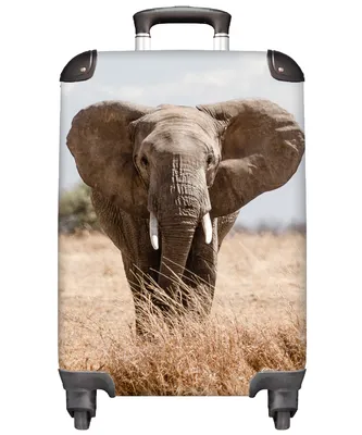 Produktbild von MuchoWow® Koffer Handgepäck Trolley Rollkoffer Kleine Reisekoffer mit 4 Rollen - Elefant - Natur - Tiere - Porträt - Cabin Size < 55x40x23 cm & 55x40x20 cm - Fotokoffer - Kabinenkoffer - Boardgepäck - Reise-Box - Reisekoffer - Reisegepäck - Koffer mit Bild - Trolley für Kinder