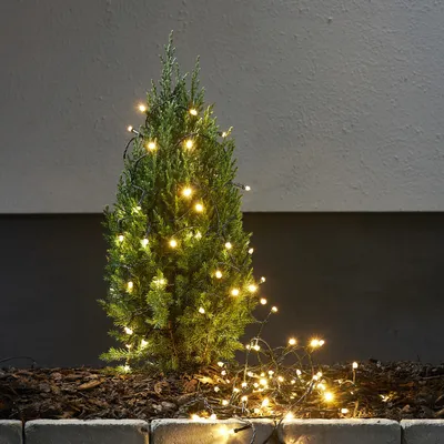 Produktbild von LED Lichterkette - 300 ultra warmweiße LED - 8 Funktionen - L: 16m - Trafo - Außen - grünes Kabel