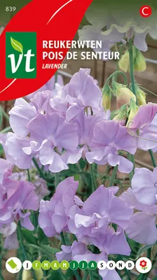 Obrázok produktu pre Semienka levandule sladkej - cca 3 gr | VT_839