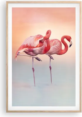 Produktbild von Gerahmtes Poster - Rahmen in heller Eiche - Flamingos Exotik Vögel - 61x91,5 cm - Wand Bild - Wanddeko - Wandbilder - Kunstposter - Wandposter - Bilderrahmen - Bilder - Kunstdruck - P2NPA61x91-5044