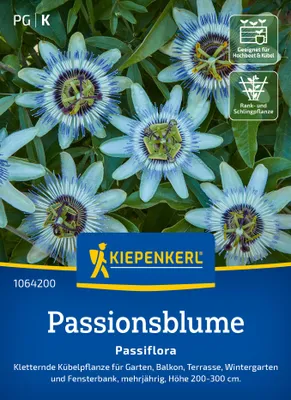 Produktbild von Kiepenkerl Passionsblumensamen Passiflora caerulea 20 Pflanzen