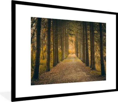 Produktbild von MuchoWow® Gerahmtes Poster Pfad - Bäume - Wald 80x60 cm - Poster mit Schwarzem Bilderrahmen Wandposter Rahmen Foto Bilder - Schlafzimmer-Dekorationen - Fotoposter