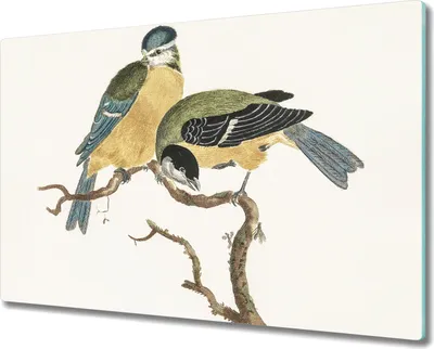 Produktbild von Coloray Hackbrett Kochplattenabdeckung Herdabdeckplatte 80x52 cm Schneidebrett Küchenbrett - Tiere Vögel