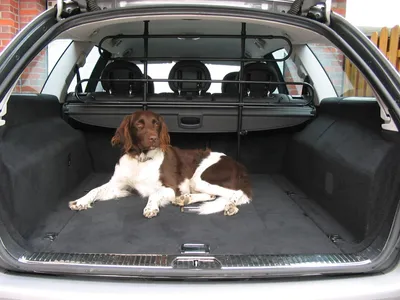 Produktbild von Hundegitter Lastengitter Trenngitter Gepäckgitter Gitter Limousine Kombi