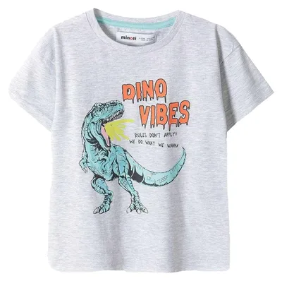 Produktbild von Minoti - T-Shirt für Jungen MN493 (86) (Grau)