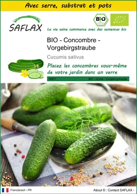 Image de SAFLAX Ensemble de culture -- Concombre - Vorgebirgstraube - 15 graines - Cucumis