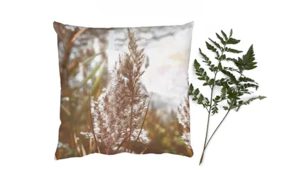 Produktbild von MuchoWow® Zierkissen Sofakissen Wohnzimmer Dekokissen 60x60 cm Schilf - Sonne - Pflanze - Sitzfläche - Foto Polster