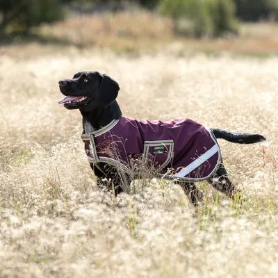 Produktbild von Horseware Ireland Hundemantel Amigo Dog Rug Ripstop Hundedecke Fig/Navy & Tan M