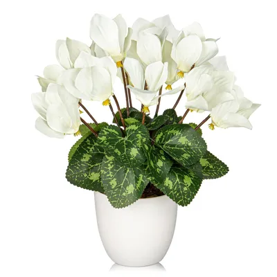 Künstliche Cyclamen-Pflanze, 29 cm, weiß, Seide, Topf