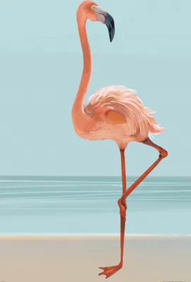 Produktbild von Flamingos Kunstdruck Bild - Ein Schöner Flamingo (180 x 120 cm)