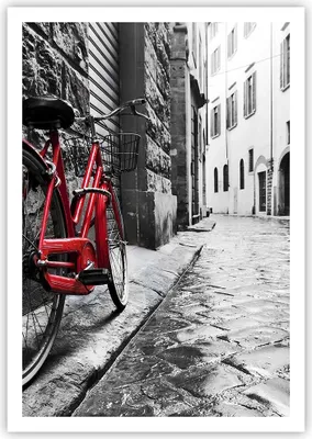 Produktbild von Poster - Poster ohne Rahmen - Straße Fahrrad Kopfsteinpflaster Gebäude - 70x100 cm - Wand Bild - Wanddeko - Wandbilder - Kunstposter - Wandposter - Bilder - Kunstdruck - Wandbild - P2XPA70x100-3186