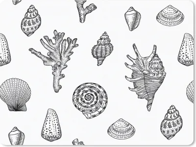Produktbild von MuchoWow® Mauspad Mousepad Muscheln - Meer - Sommer - Koralle 40x30 cm - Mousepads - Maus Mat - Pad - Mausunterlage - Anti Rutsch