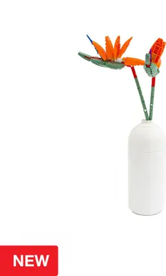 Immagine prodotto di SL95971 - Paradiesvogelblume in vaso
