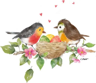 Produktbild von 20 Servietten Bird´s Nest - Vögel am Nest voller Eier 33x33cm