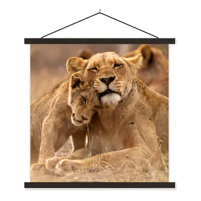 Produktbild von MuchoWow® Textilposter Löwe - Wilde Tiere - Jungtier 90x90 cm mit schwarzem Rahmen - Magnetisches
