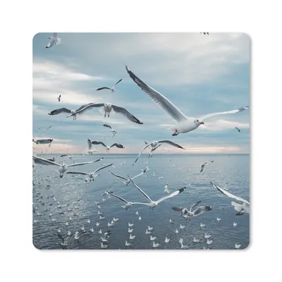 Produktbild von MuchoWow® Mauspad Mousepad Vogel - Meer - Schwarm 20x20 cm - Mousepads - Maus Mat - Pad - Mausunterlage - Desk Mat - Bureauartikeln