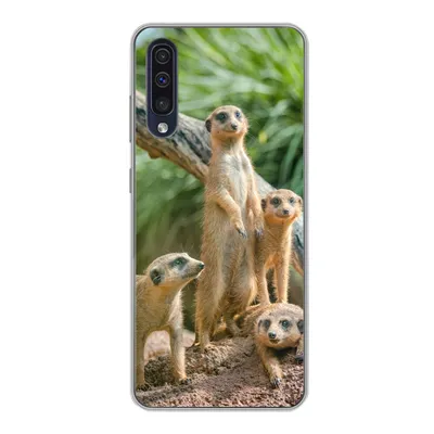 Produktbild von MuchoWow® Handyhülle Schutzhülle Hülle für Samsung Galaxy A30s Familie - Tiere - Erdmännchen Silikon Softcase Handy Hülle - Karteninhaber