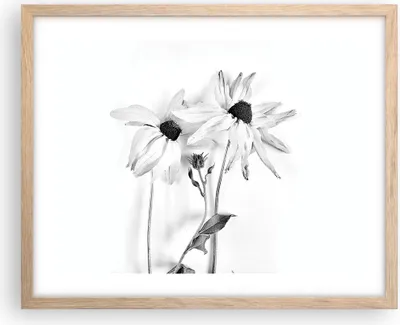 Produktbild von Gerahmtes Poster - Rahmen in heller Eiche - Verwelkt Blumen Monochrom - 50x40 cm - Wand Bild - Wanddeko - Wandbilder - Kunstposter - Wandposter - Bilderrahmen - Bilder - Kunstdruck - P2NAA50x40-4737