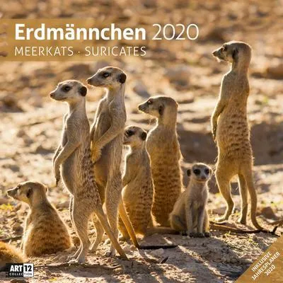 Immagine prodotto di Calendario da tavolo 2020 con immagini di suricati