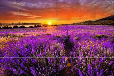 Produktbild von Fliesenaufkleber 15x15 cm – 24 Stück – Selbstklebend – Wasserfest – Pflegeleicht – Hitzebeständig – Für Küche & Bad – Blumenlandschaft bei Sonnenuntergang